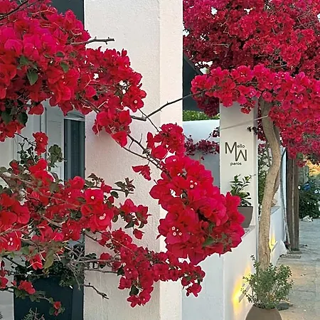 Hotel Mellow Páros