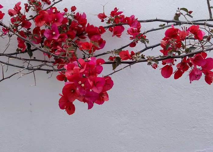 Mellow Ξενοδοχείο 2*