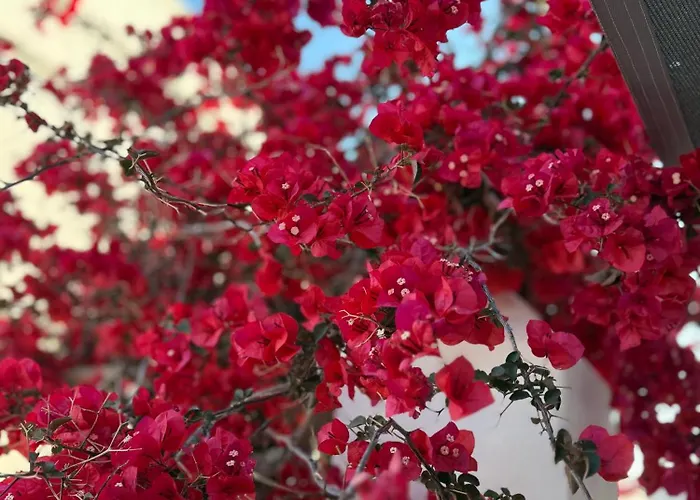 Mellow Отель 2*